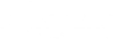 Polymers Seals Solutions